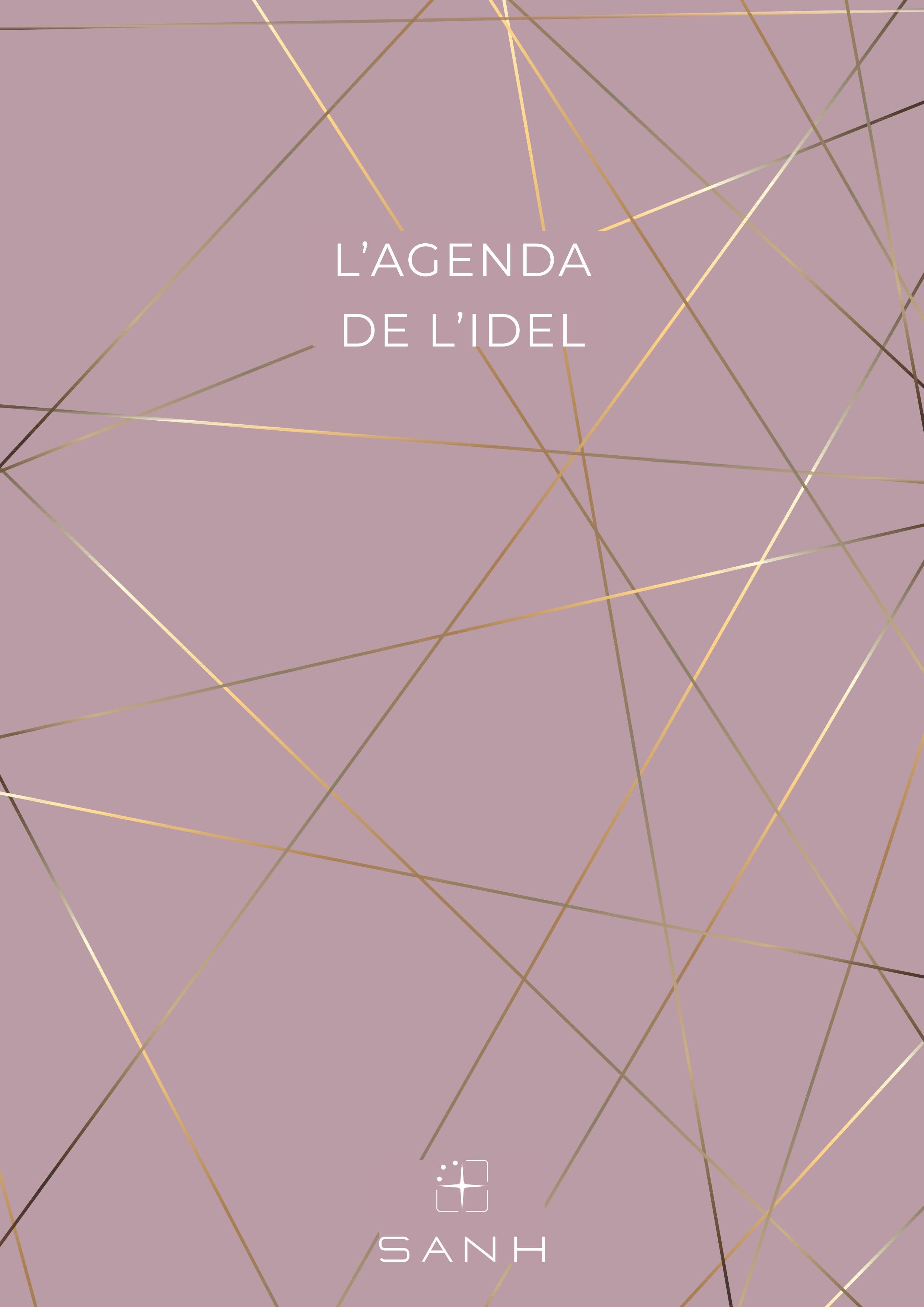 Agenda IDEL (Infirmière libérale) • 2026